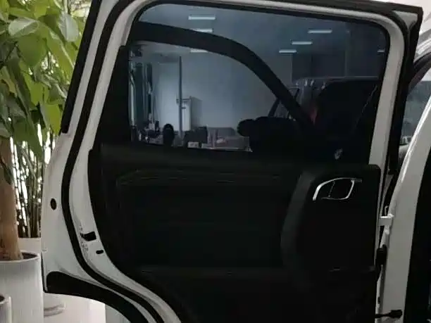 Haval Big Dog — миниатюра 15
