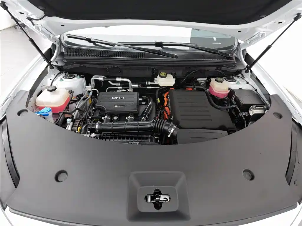 BYD SONGJIANG NEW ENERGY