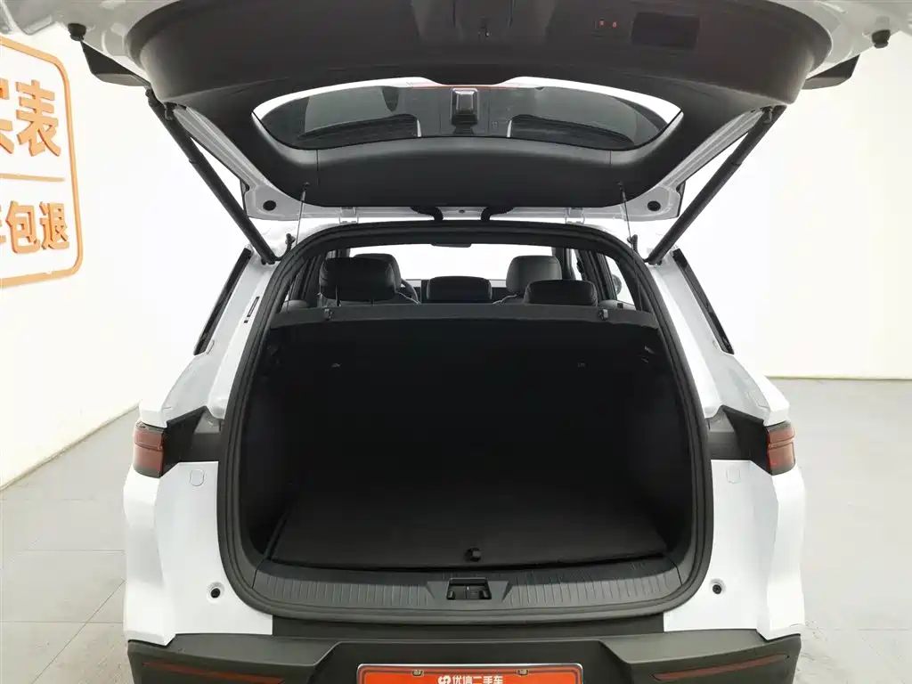 BYD SONGJIANG NEW ENERGY