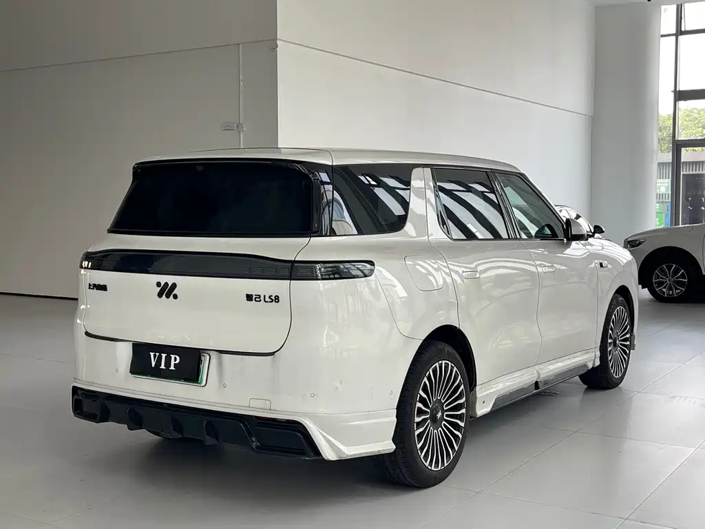 IM IM LS8 — миниатюра 6