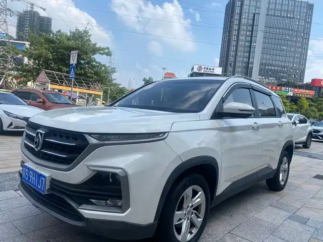 BAOJUN  530 2018