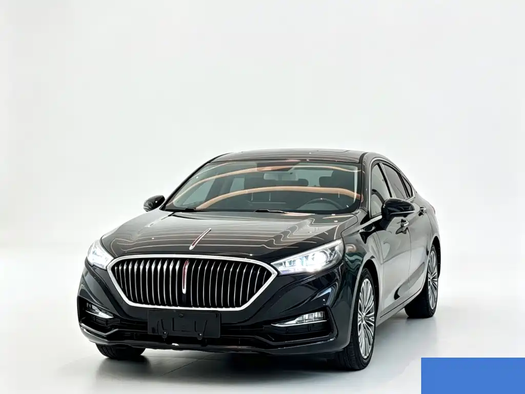 Hongqi Hongqi H5 2021