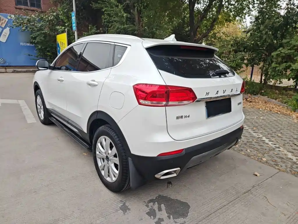 Haval H4 — миниатюра 5