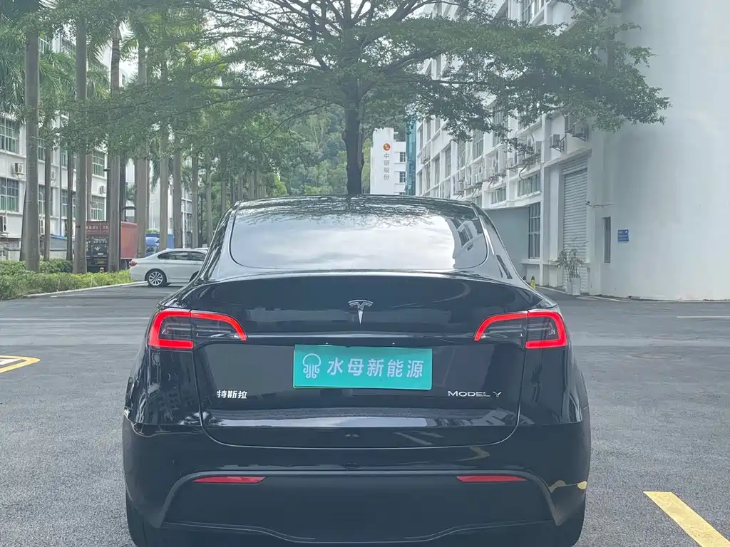 Tesla Model Y — миниатюра 9