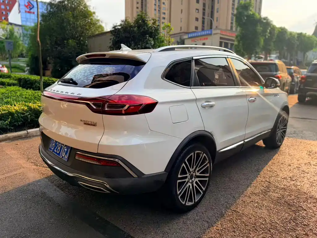 Leopaard Mattu — миниатюра 7