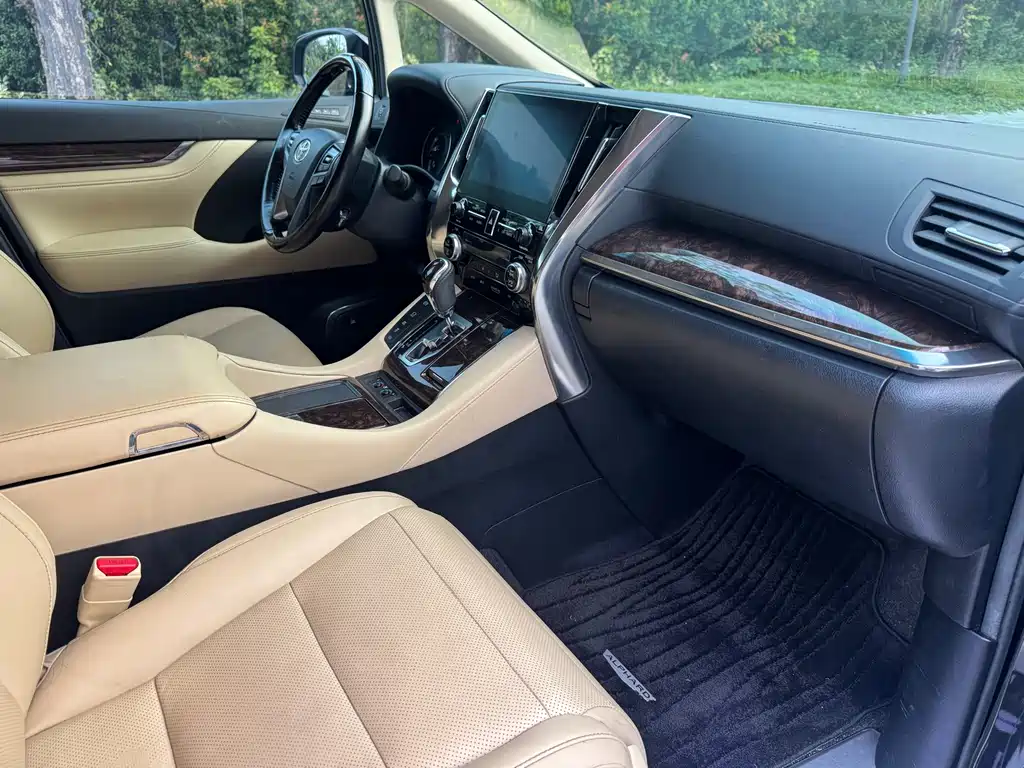 Toyota Alphard — миниатюра 14