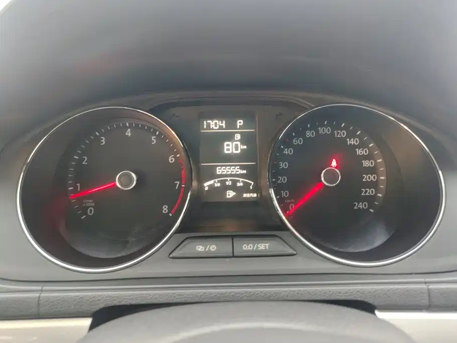 Volkswagen Gran Lavida — миниатюра 14