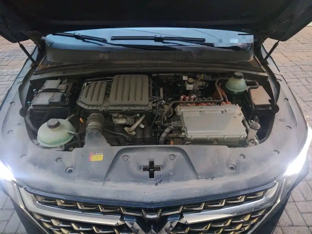 Wuling Victory — миниатюра 21