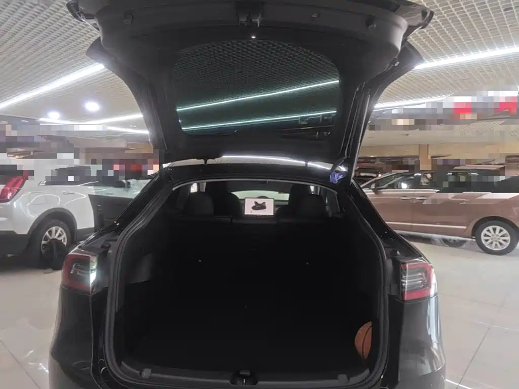 Tesla Model Y — миниатюра 19