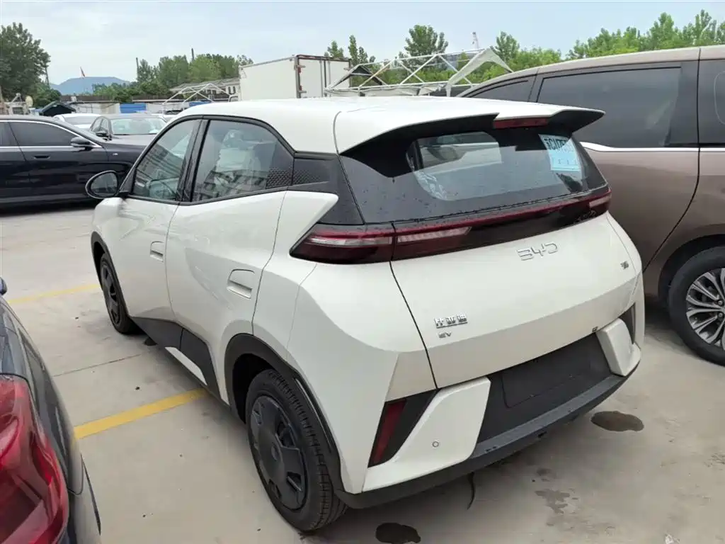 BYD Seagull 2025 Smart Drive 305km