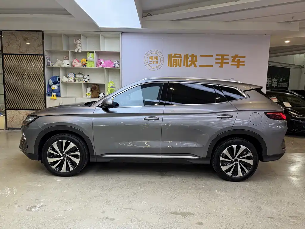 BYD PLUS New Energy — миниатюра 4
