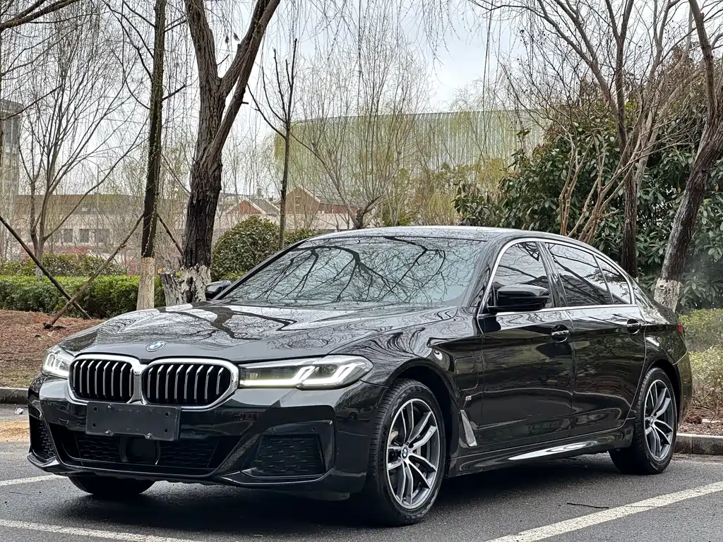 BMW 5 Series New Energy 2021