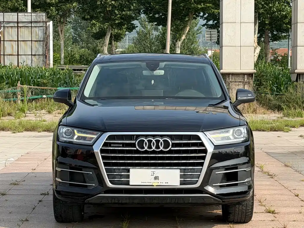 Audi Q7 — миниатюра 2