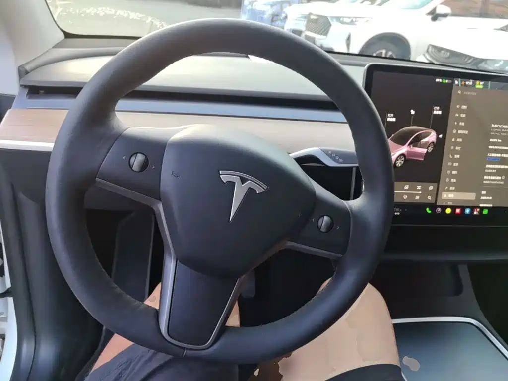 Tesla Model Y — миниатюра 11