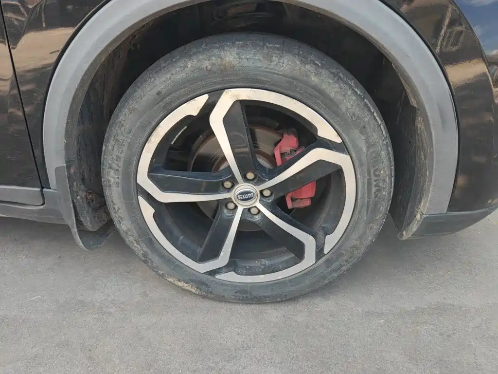 SWM SWM X7 — миниатюра 26