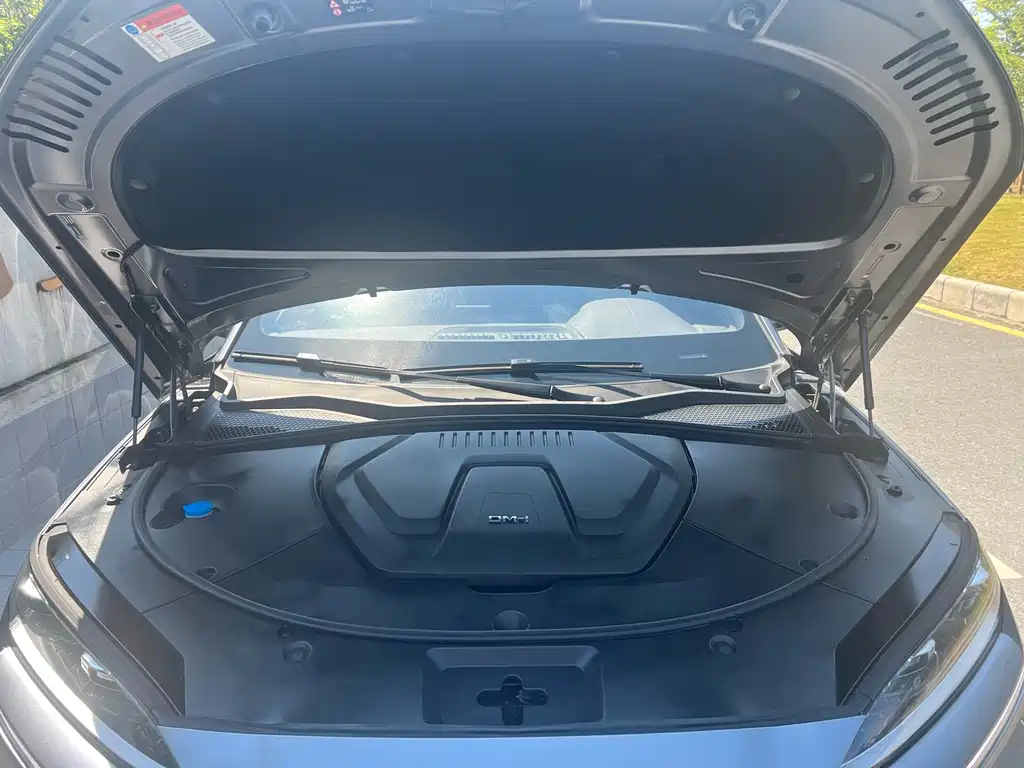 BYD PLUS New Energy — миниатюра 7