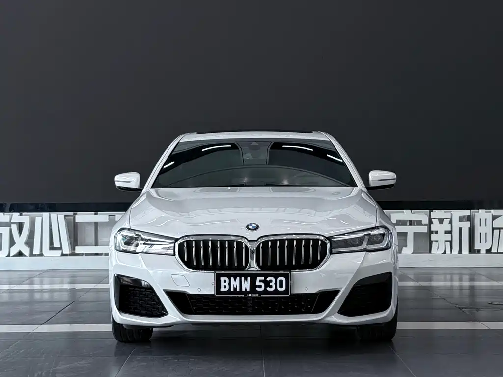 BMW 5 Series — миниатюра 2