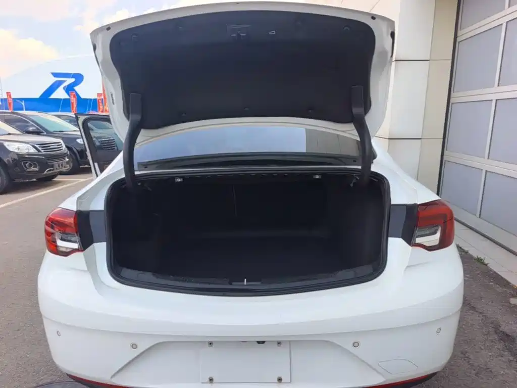 Buick Regal — миниатюра 19