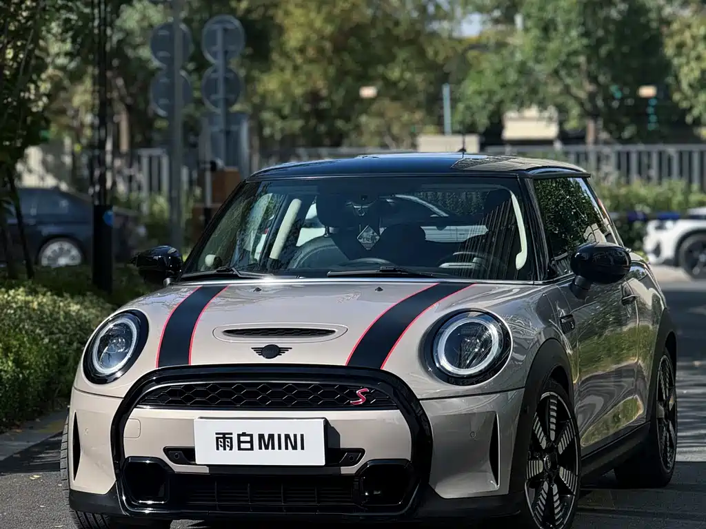 Mini Mini 2021