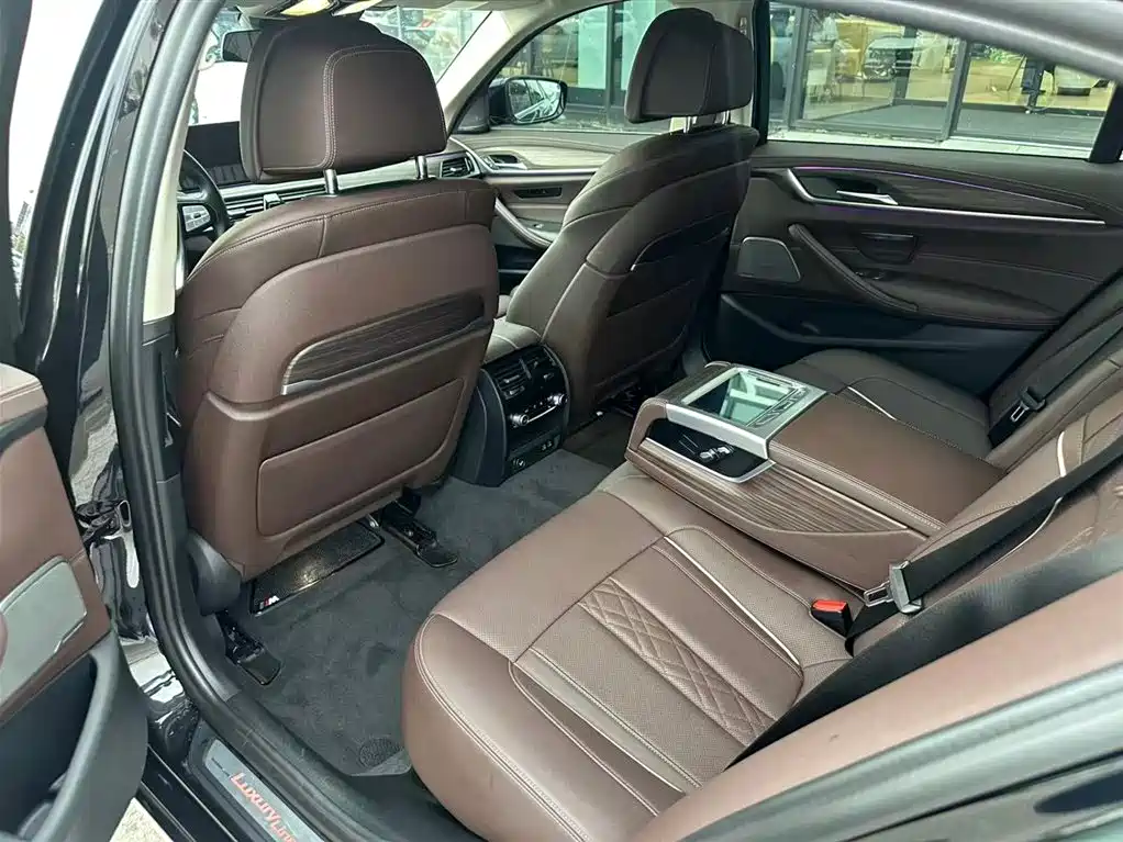BMW 5 Series 5 2021 530Li Premium Luxury