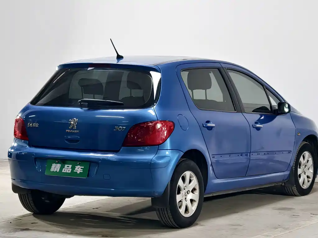 Peugeot 307 — миниатюра 4
