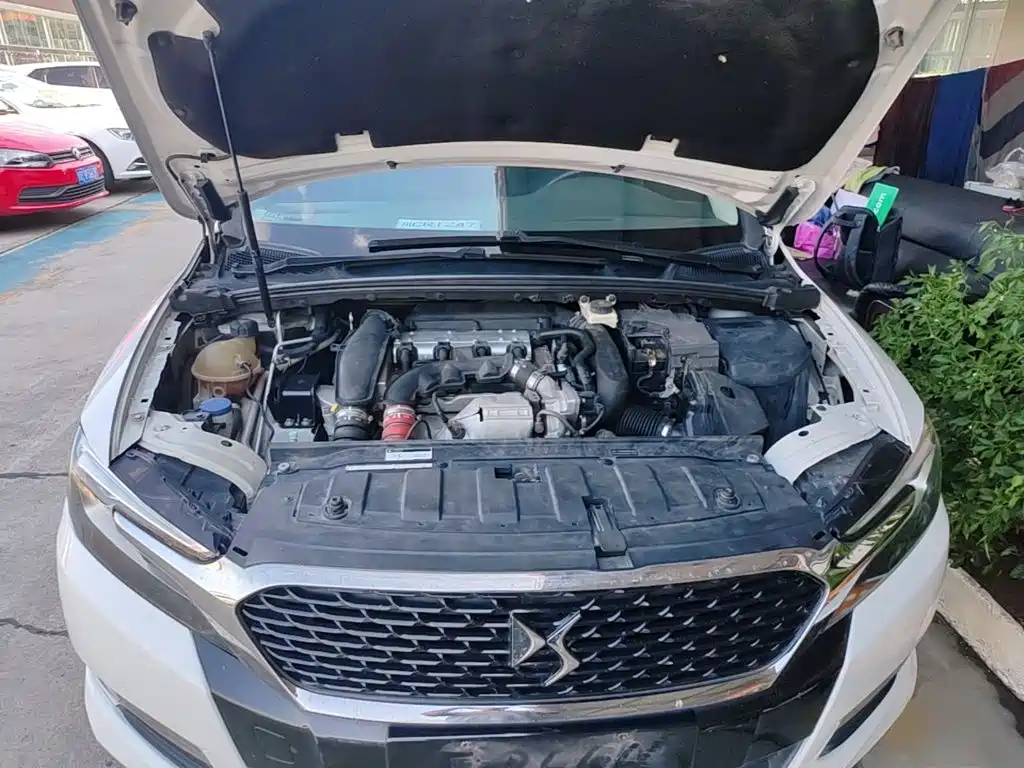 DS DS 5LS — миниатюра 20