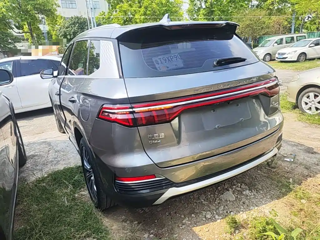 BYD Pro New Energy — миниатюра 5