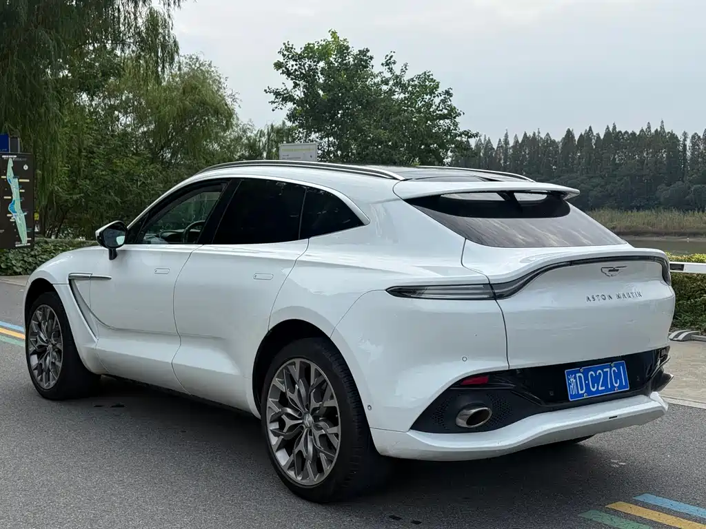 Aston Martin DBX — миниатюра 15