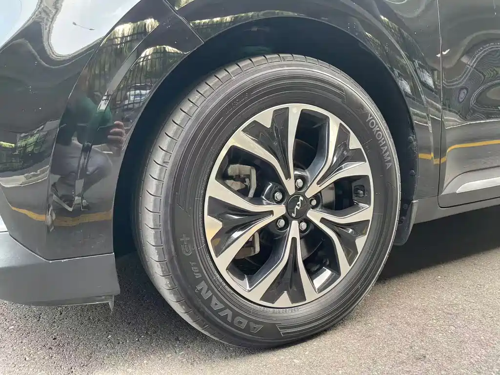 Kia Carnival — миниатюра 20