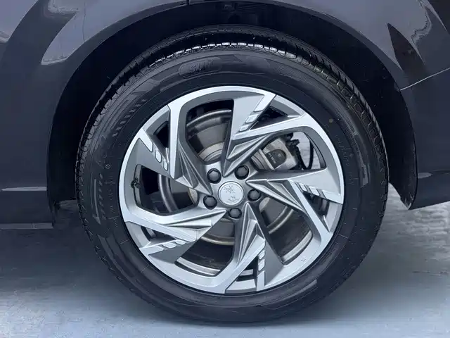 Hongqi Hongqi HS3 PHEV — миниатюра 19