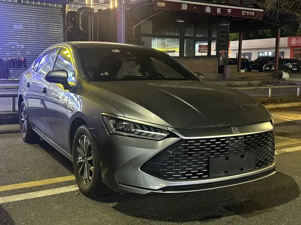 BYD Qin PLUS — миниатюра 3