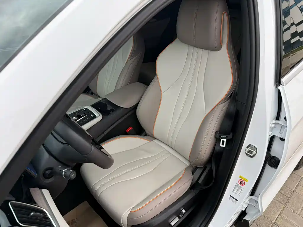 BYD Pro New Energy — миниатюра 12