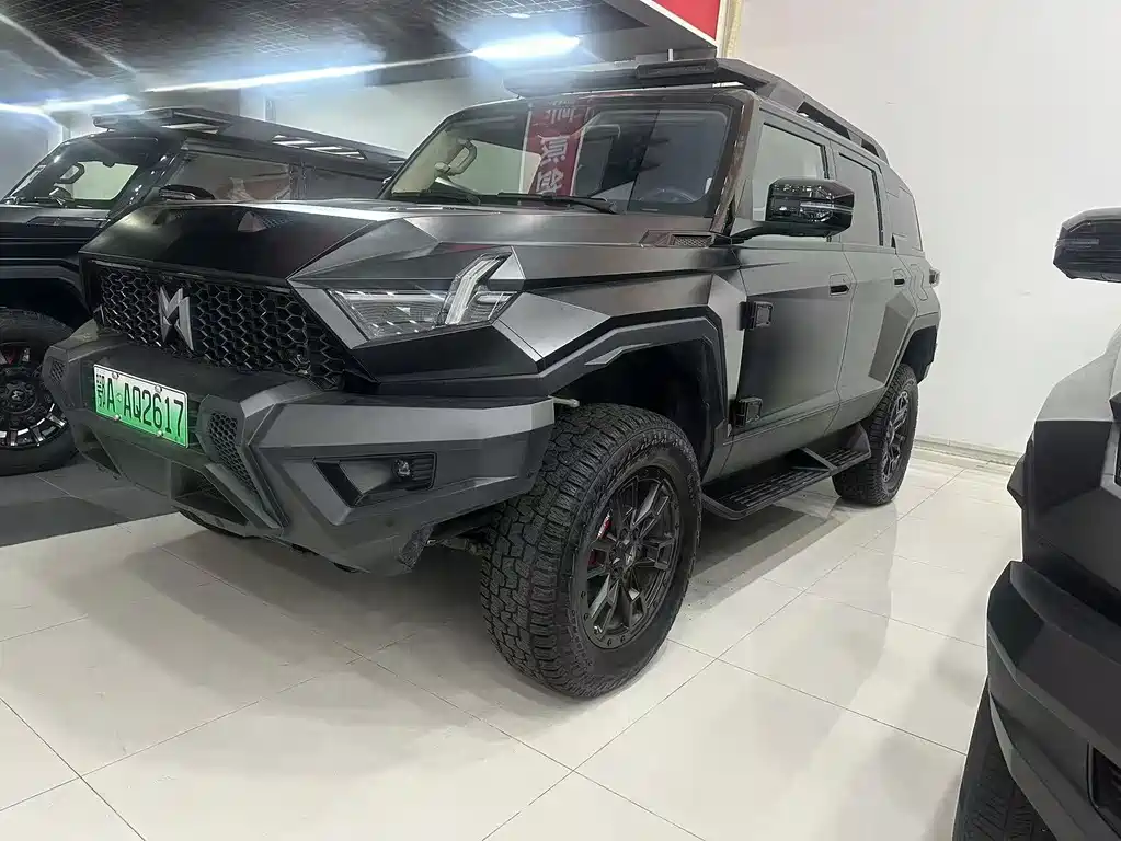 Mengshi Mengshi 917 2024