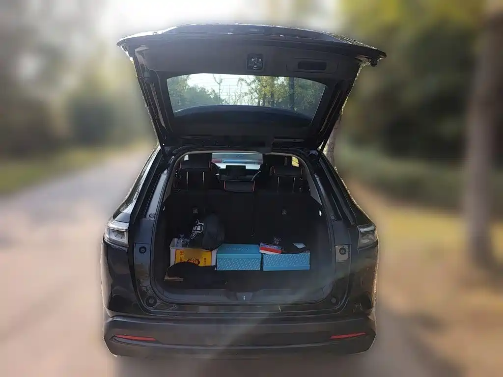 Honda XR-V — миниатюра 15