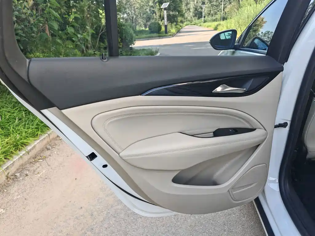 Buick Regal — миниатюра 11