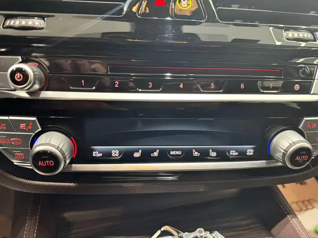 BMW 5 Series 5 2019 530Li Premium Luxury