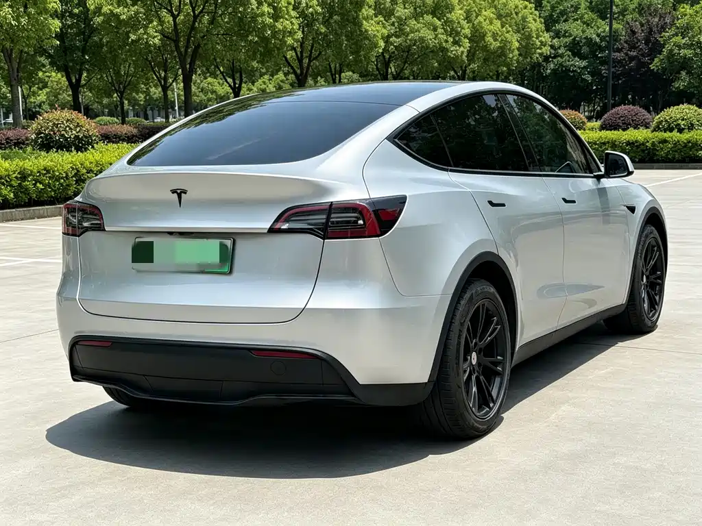 Tesla Model Y — миниатюра 4