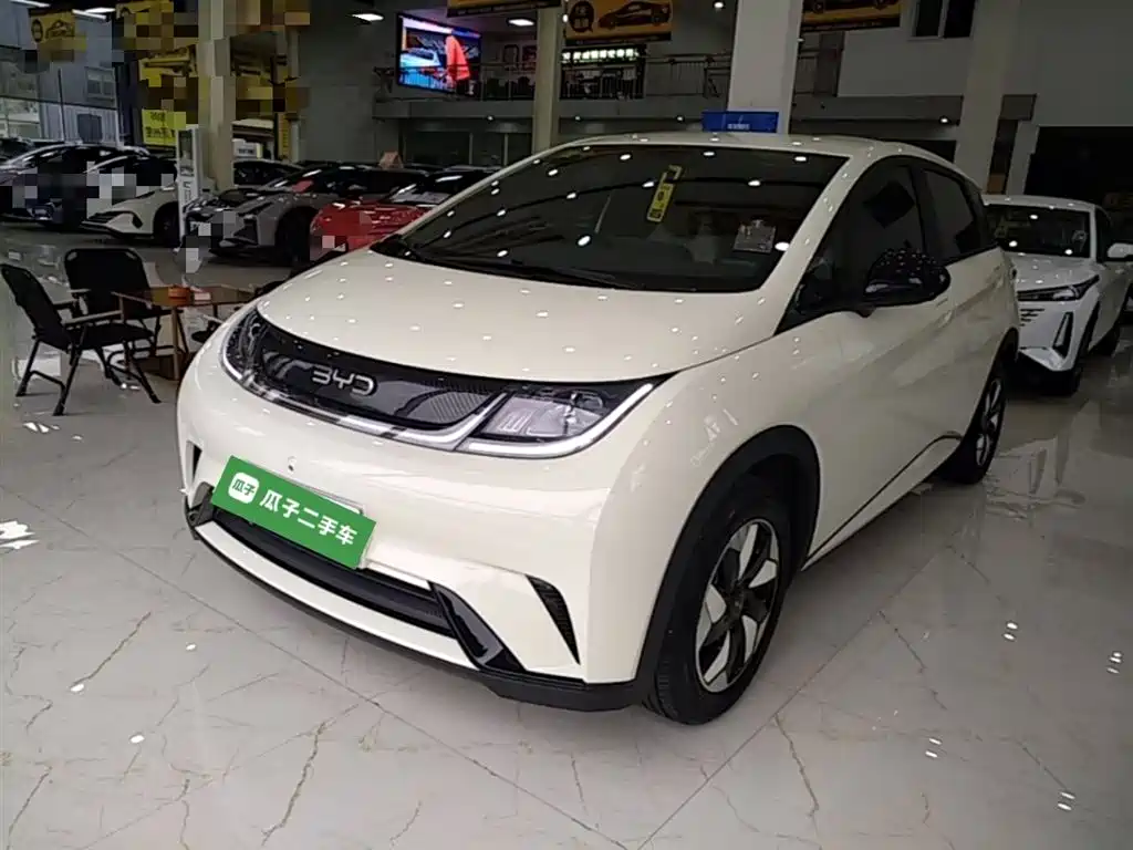 Byd Dolphin 2026