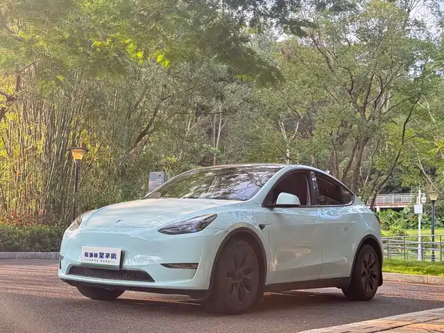 TESLA MODEL Y 2024