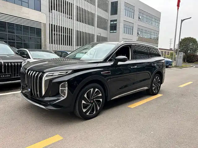 2024 Hongqi HS7