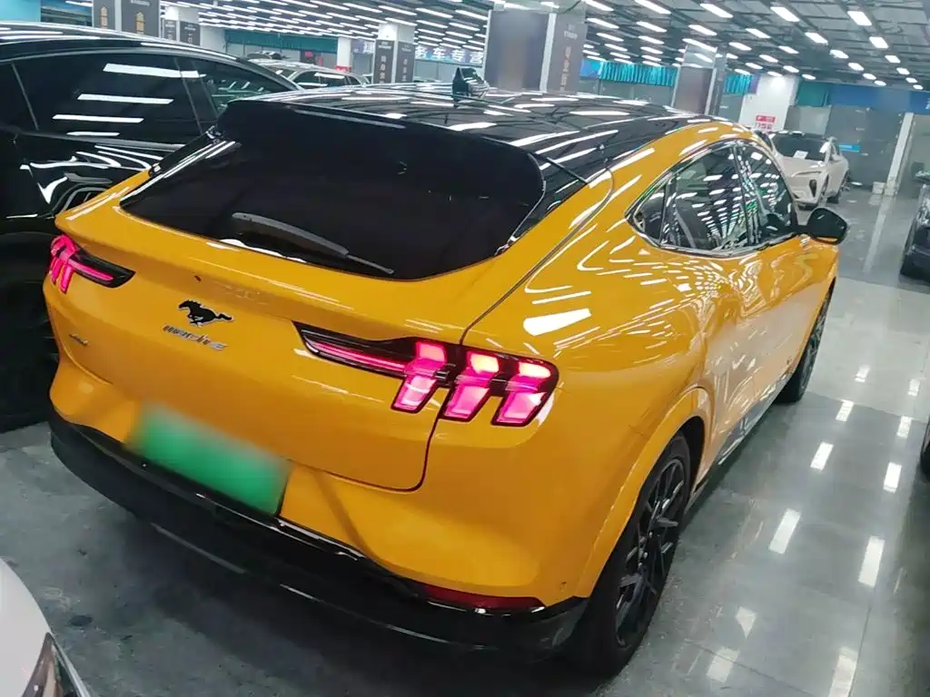 Ford Mustang Mach-E — миниатюра 7