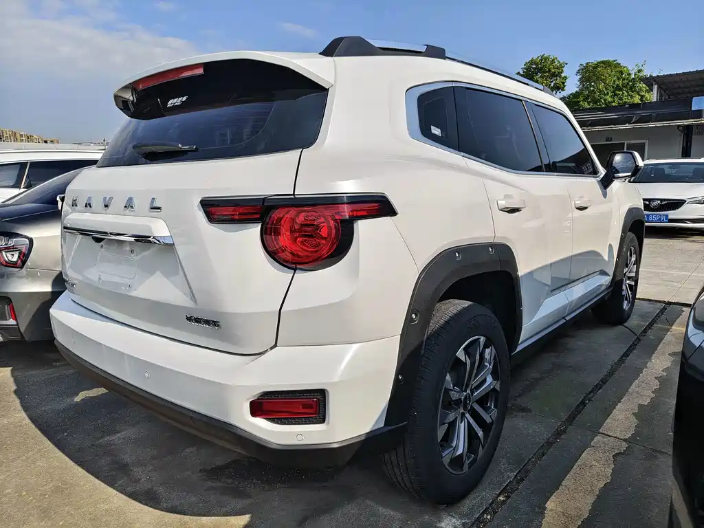 Haval Big Dog PLUS — миниатюра 14