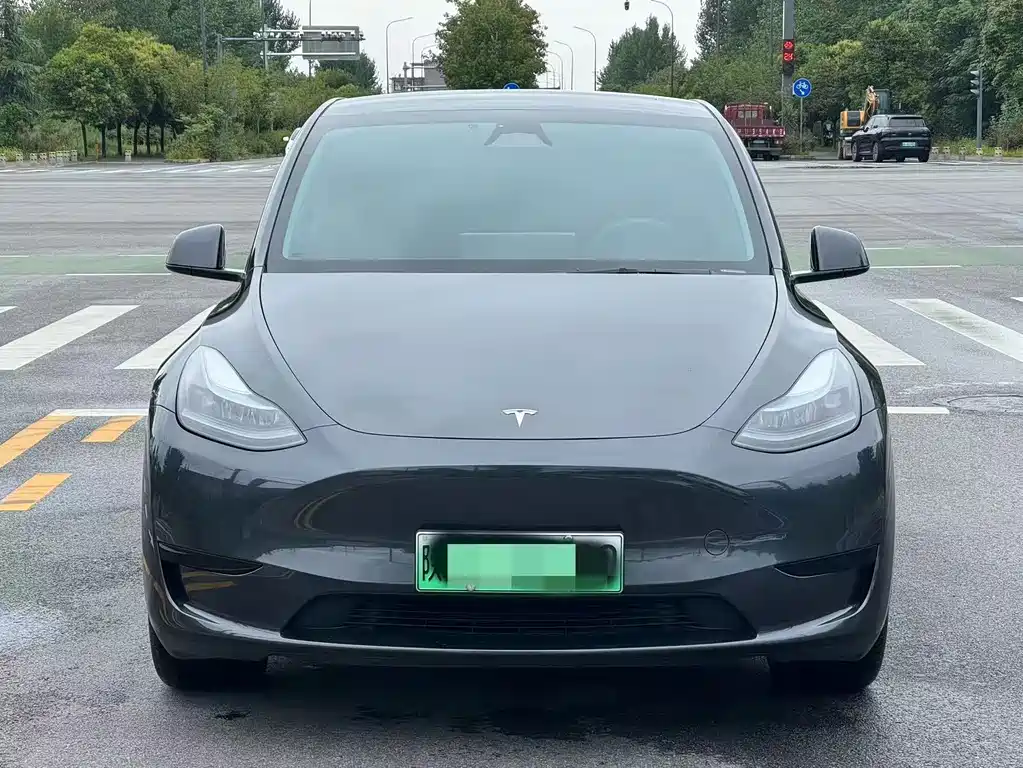 Tesla Model Y — миниатюра 2
