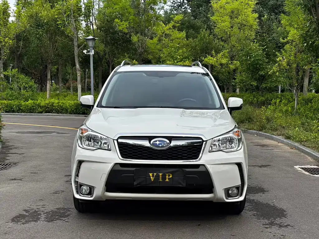 Subaru Forester — миниатюра 2