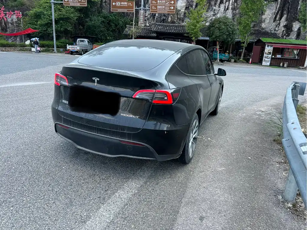 Tesla Model Y — миниатюра 8