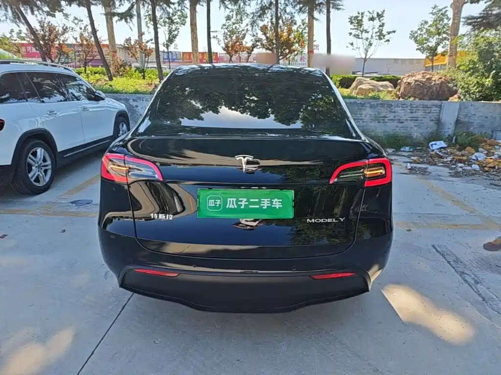 Tesla Model Y — миниатюра 4