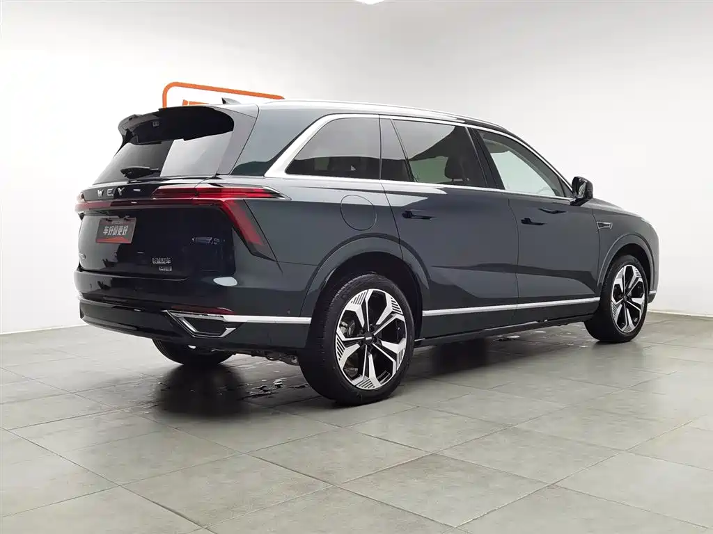 WEI PAI WEI BRAND BLUE MOUNTAIN