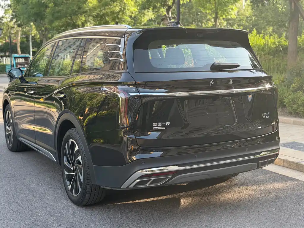 Hongqi Hongqi HS7 PHEV — миниатюра 10