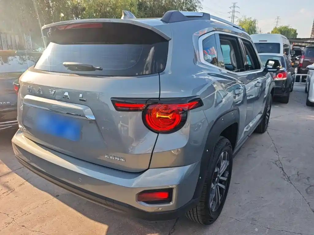 Haval Big Dog PLUS — миниатюра 7