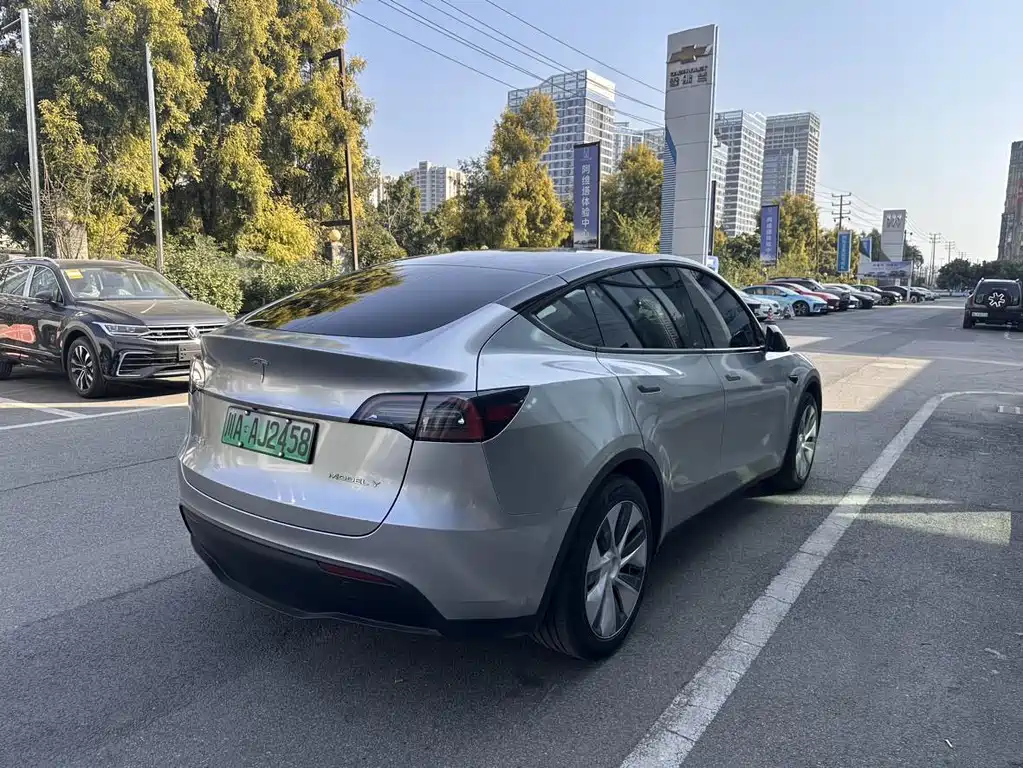 Tesla Model Y — миниатюра 5